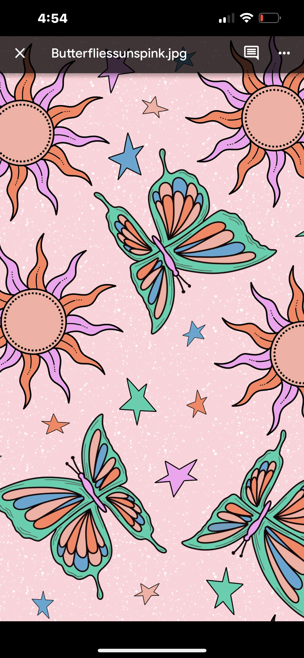 Sun butterfly