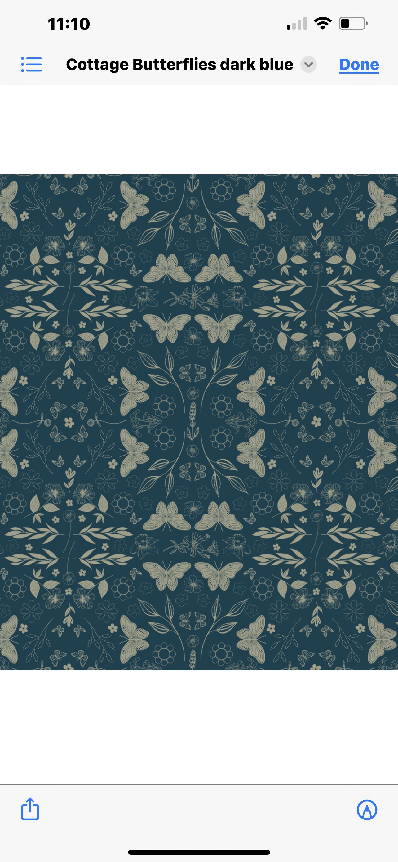 Blue black butterfly
