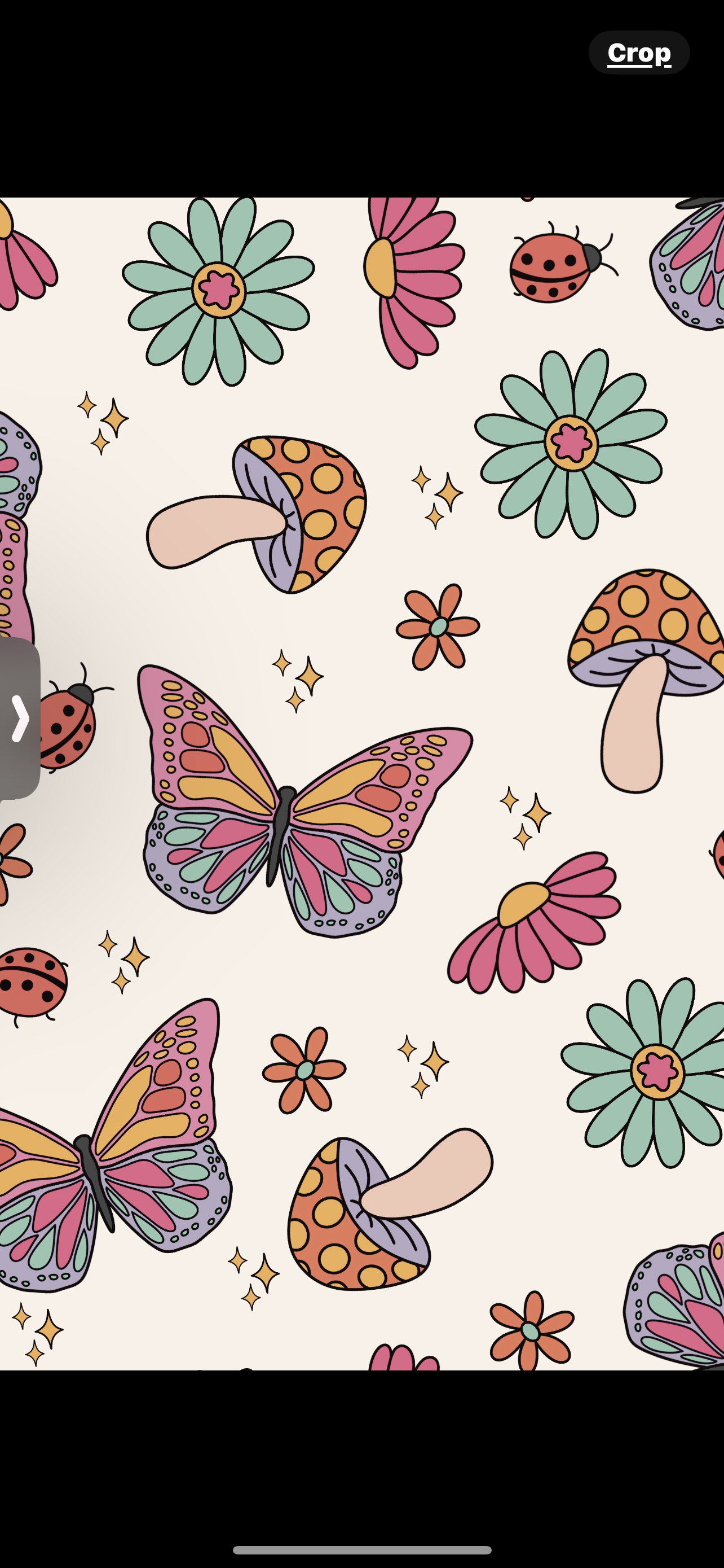 Ladybug print