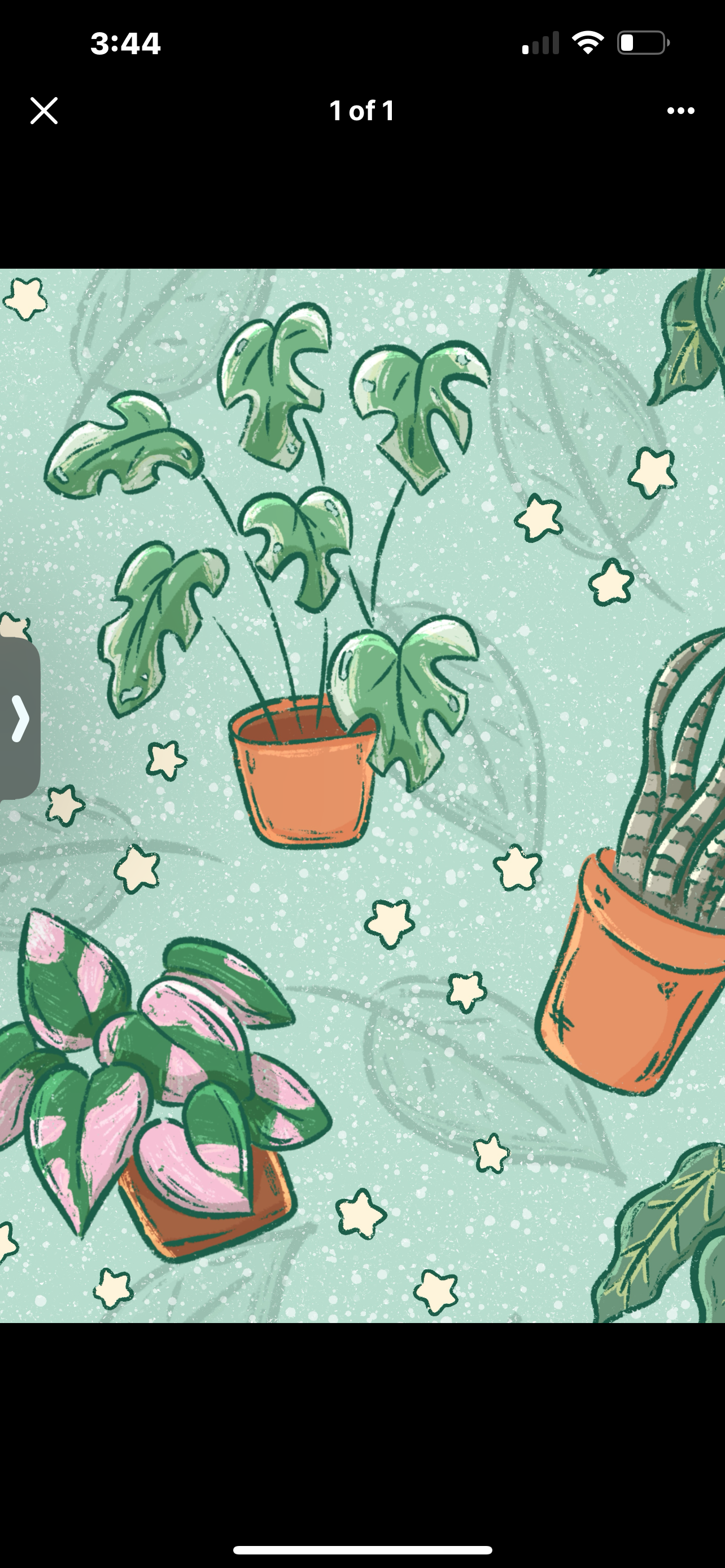 Unique plant print