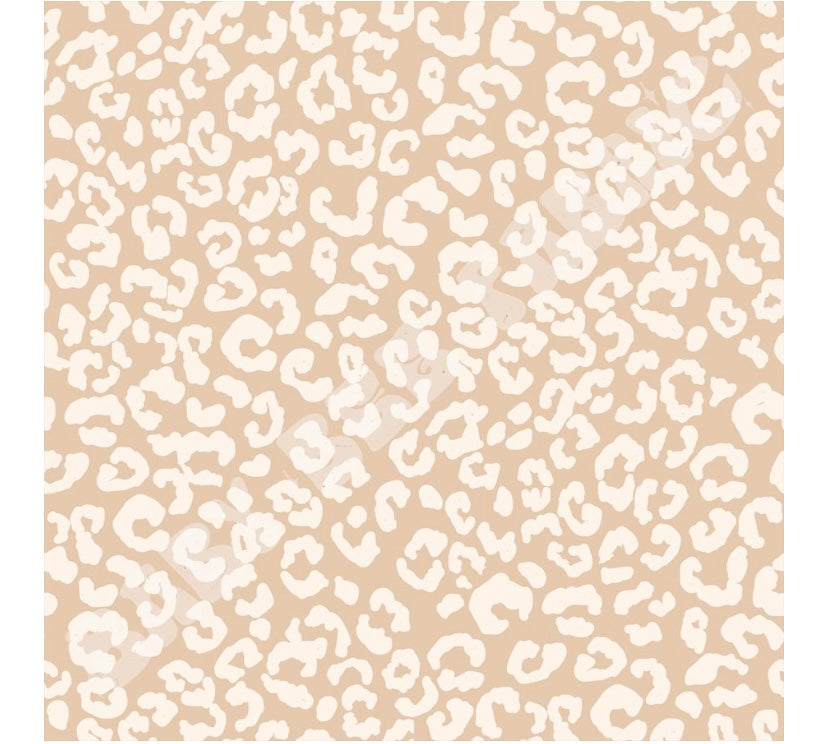 Neutral cheetah