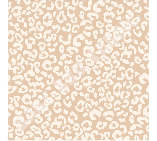 Neutral cheetah