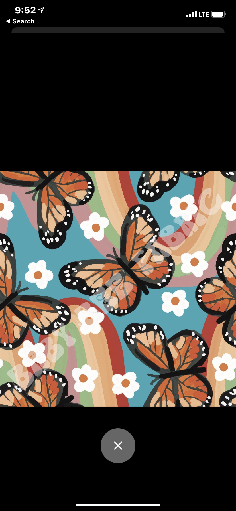 Butterfly rainbow girls