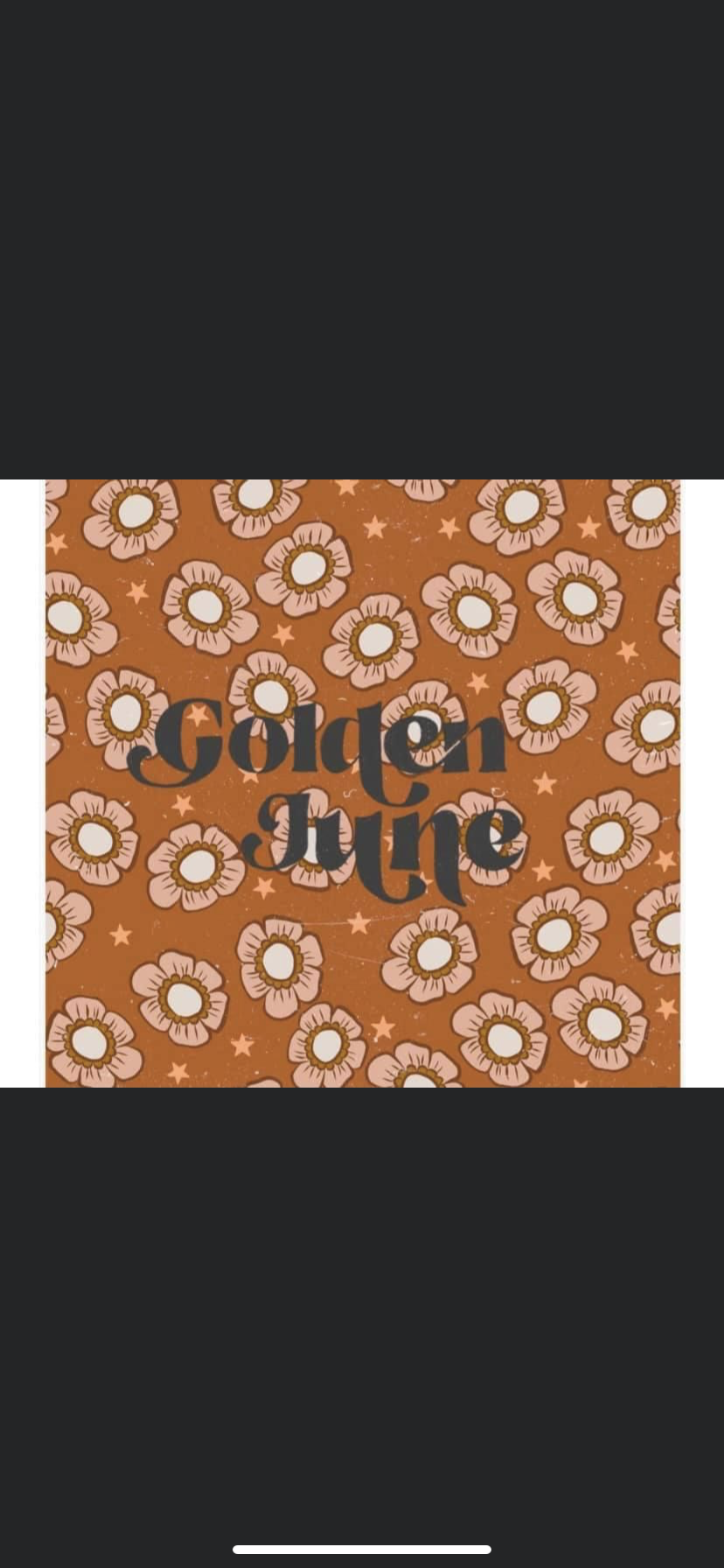Cowgirl fabric (pick fabric with outfit)